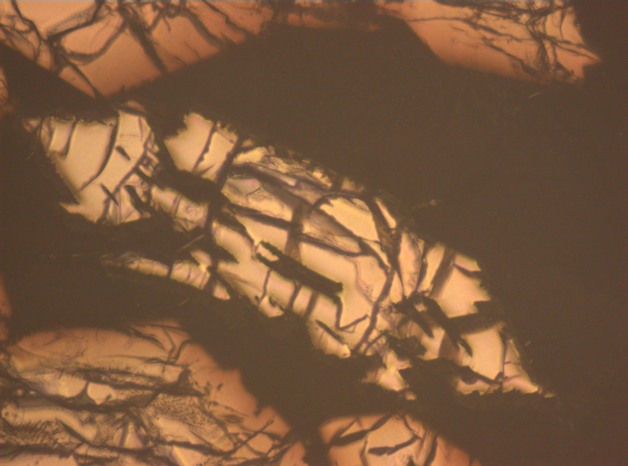 Thin Section Photograph of Apollo 15 Sample 15486,29 in Reflected Light at 10x Magnification and 0.7 mm Field of View (View #5)