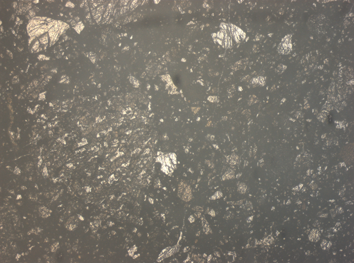 Thin Section Photograph of Apollo 15 Sample 15498,8 in Reflected Light at 2.5x Magnification and 2.85 mm Field of View (View #1)