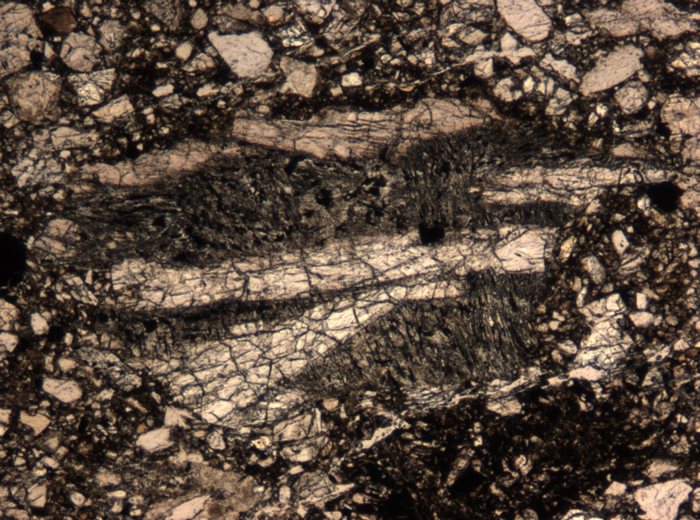 Thin Section Photograph of Apollo 15 Sample 15498,8 in Plane-Polarized Light at 5x Magnification and 1.4 mm Field of View (View #4)