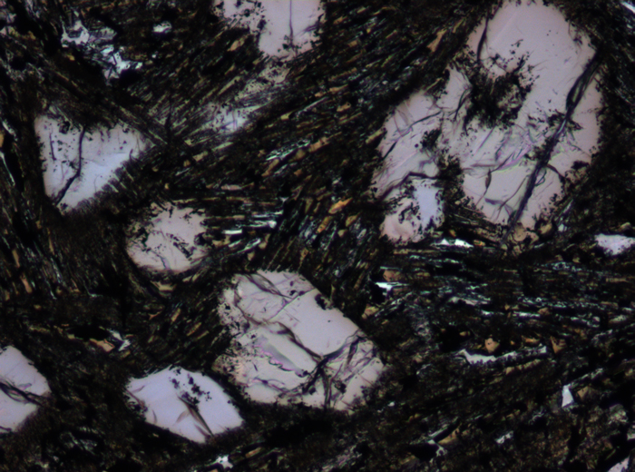 Thin Section Photograph of Apollo 15 Sample 15499,126 in Plane-Polarized Light at 10x Magnification and 0.7 mm Field of View (View #4)