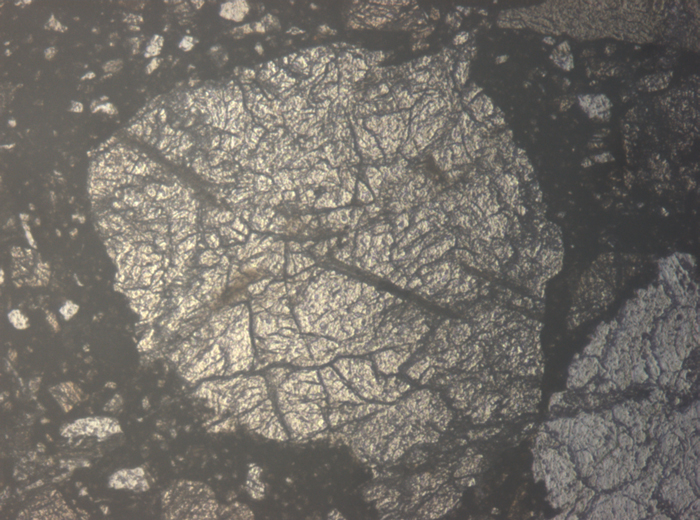 Thin Section Photograph of Apollo 15 Sample 15505,53 in Reflected Light at 5x Magnification and 1.4 mm Field of View (View #3)