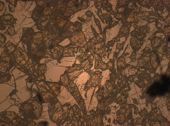 Thin Section Photograph of Apollo 15 Sample 15536,5 in Reflected Light at 2.5x Magnification and 2.85 mm Field of View (View #3)