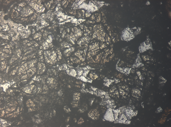 Thin Section Photograph of Apollo 15 Sample 15558,17 in Reflected Light at 5x Magnification and 1.4 mm Field of View (View #2)