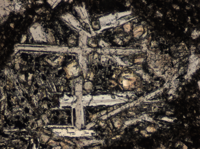 Thin Section Photograph of Apollo 15 Sample 15558,17 in Plane-Polarized Light at 10x Magnification and 0.7 mm Field of View (View #3)