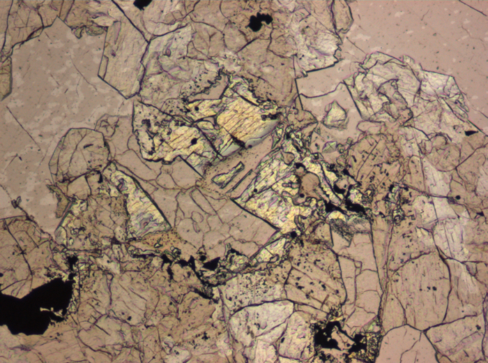 Thin Section Photograph of Apollo 15 Sample 15607,6 in Plane-Polarized Light at 10x Magnification and 0.7 mm Field of View (View #3)