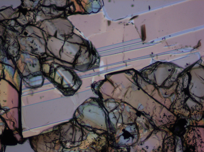 Thin Section Photograph of Apollo 15 Sample 15647,7 in Plane-Polarized Light at 10x Magnification and 0.7 mm Field of View (View #3)