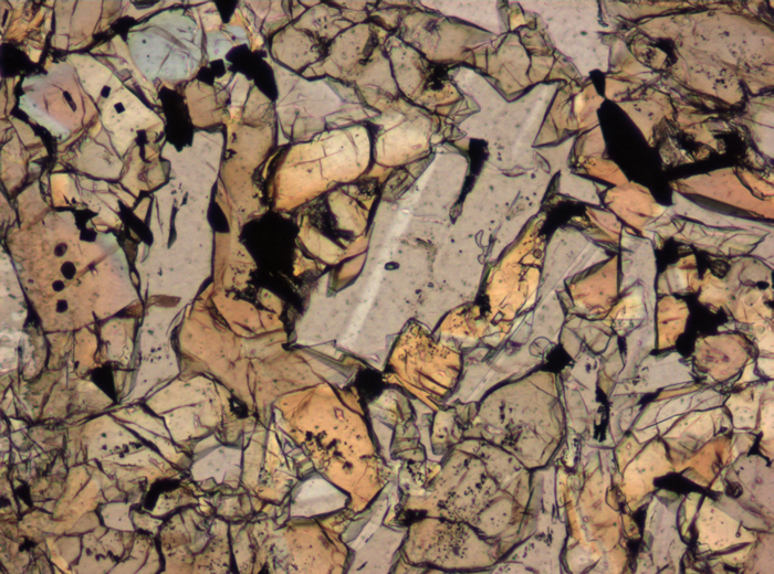 Thin Section Photograph of Apollo 15 Sample 15665,13 in Plane-Polarized Light at 10x Magnification and 0.7 mm Field of View (View #5)