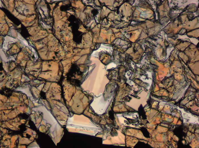 Thin Section Photograph of Apollo 15 Sample 15676,14 in Plane-Polarized Light at 10x Magnification and 0.7 mm Field of View (View #5)
