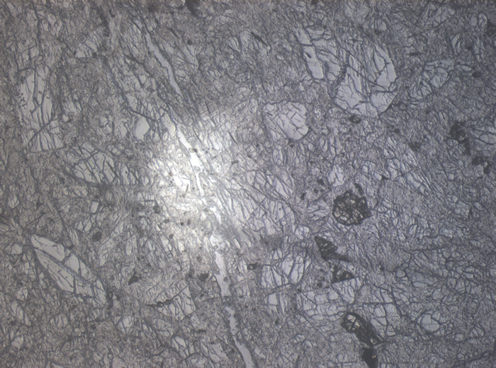 Thin Section Photograph of Apollo 16 Sample 60025,134 in Reflected Light at 2.5x Magnification and 2.85 mm Field of View (View #1)