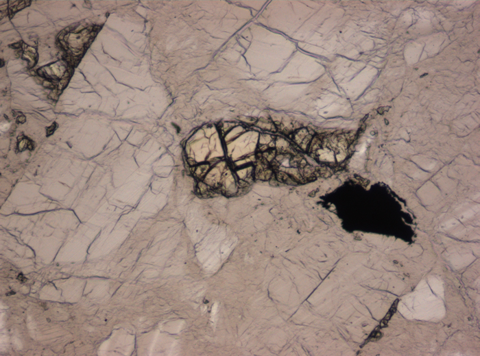 Thin Section Photograph of Apollo 16 Sample 60025,134 in Plane-Polarized Light at 10x Magnification and 0.7 mm Field of View (View #4)