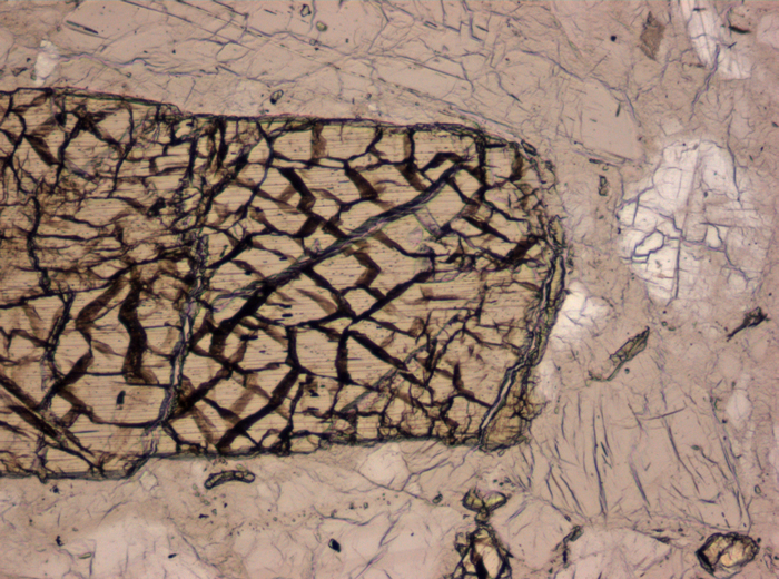Thin Section Photograph of Apollo 16 Sample 60025,134 in Plane-Polarized Light at 10x Magnification and 0.7 mm Field of View (View #5)