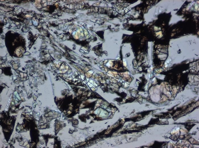 Thin Section Photograph of Apollo 16 Sample 61016,220 in Plane-Polarized Light at 10x Magnification and 1.15 mm Field of View (View #2)