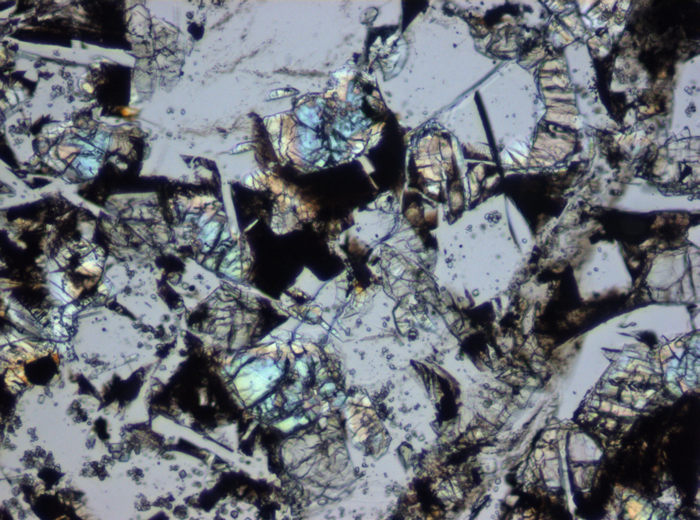 Thin Section Photograph of Apollo 16 Sample 61016,220 in Plane-Polarized Light at 10x Magnification and 1.15 mm Field of View (View #3)