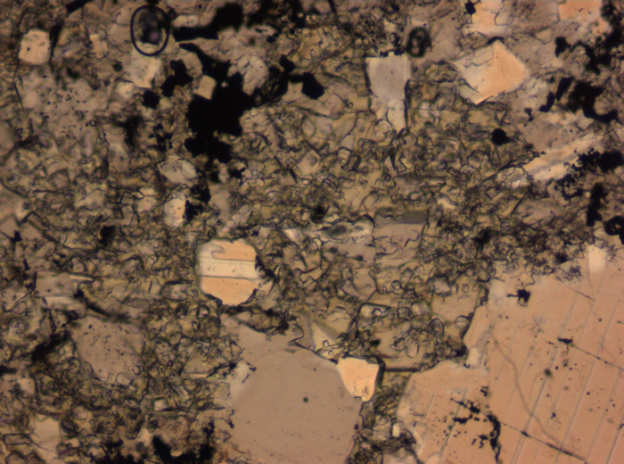 Thin Section Photograph of Apollo 16 Sample 65015,164 in Plane-Polarized Light at 2.5x Magnification and 2.85 mm Field of View (View #6)