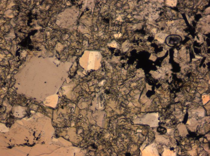 Thin Section Photograph of Apollo 16 Sample 65015,164 in Plane-Polarized Light at 2.5x Magnification and 2.85 mm Field of View (View #25)