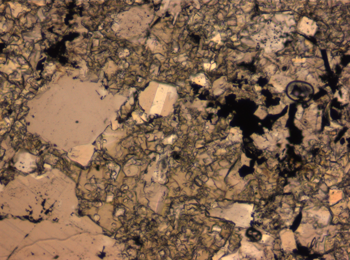 Thin Section Photograph of Apollo 16 Sample 65015,164 in Plane-Polarized Light at 2.5x Magnification and 2.85 mm Field of View (View #27)