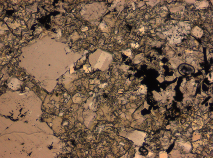 Thin Section Photograph of Apollo 16 Sample 65015,164 in Plane-Polarized Light at 2.5x Magnification and 2.85 mm Field of View (View #29)