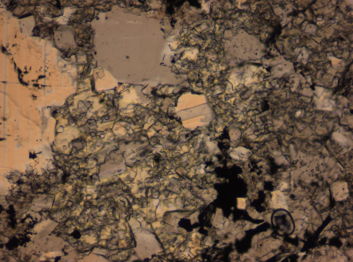 Thin Section Photograph of Apollo 16 Sample 65015,164 in Plane-Polarized Light at 2.5x Magnification and 2.85 mm Field of View (View #38)