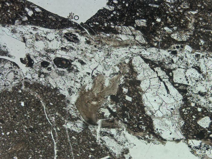 Thin Section Photograph of Apollo 16 Sample 68115,3 in Plane-Polarized Light at 5x Magnification and 2.3 mm Field of View (View #1)