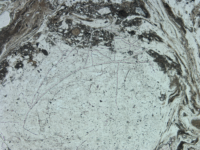 Thin Section Photograph of Apollo 16 Sample 68815,17 in Plane-Polarized Light at 5x Magnification and 2.3 mm Field of View (View #2)