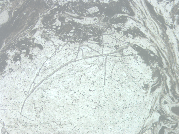 Thin Section Photograph of Apollo 16 Sample 68815,17 in Reflected Light at 5x Magnification and 2.3 mm Field of View (View #2)