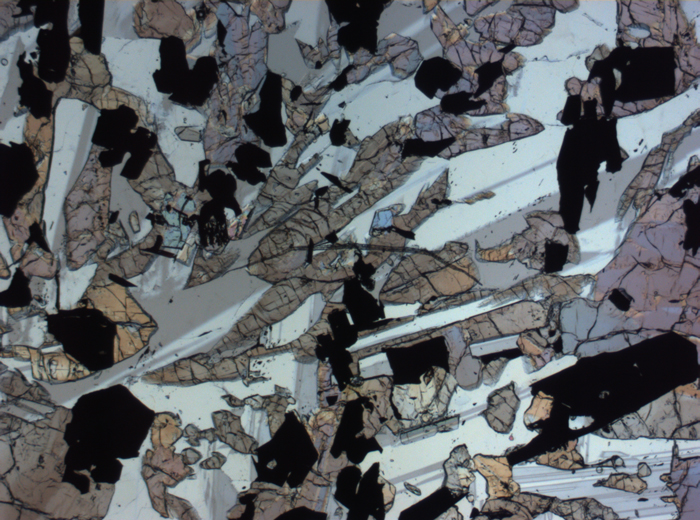 Thin Section Photograph of Apollo 17 Sample 70017,223 in Plane-Polarized Light at 2.5x Magnification and 2.85 mm Field of View (View #19)