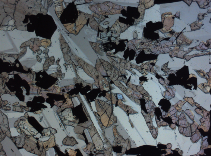 Thin Section Photograph of Apollo 17 Sample 70017,223 in Plane-Polarized Light at 2.5x Magnification and 2.85 mm Field of View (View #35)