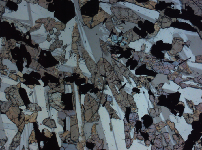 Thin Section Photograph of Apollo 17 Sample 70017,223 in Plane-Polarized Light at 2.5x Magnification and 2.85 mm Field of View (View #39)