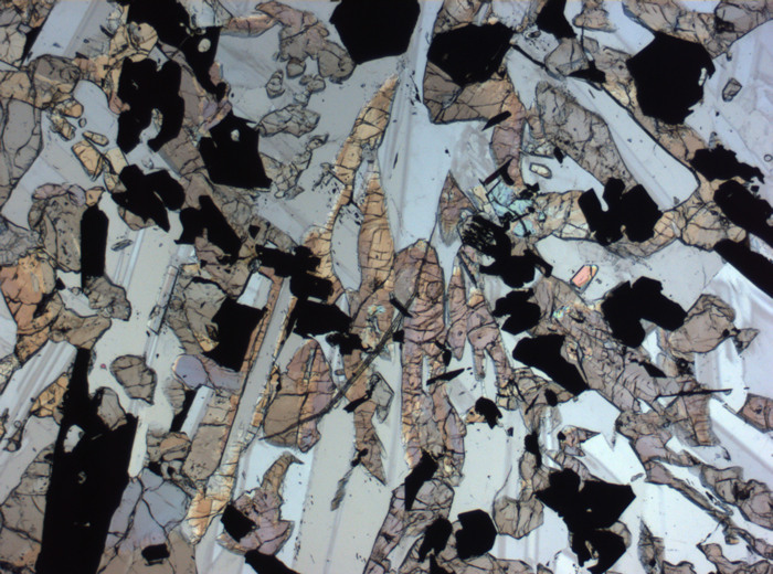 Thin Section Photograph of Apollo 17 Sample 70017,223 in Plane-Polarized Light at 2.5x Magnification and 2.85 mm Field of View (View #44)