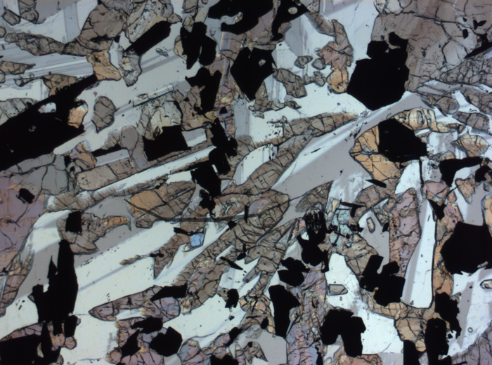 Thin Section Photograph of Apollo 17 Sample 70017,223 in Plane-Polarized Light at 2.5x Magnification and 2.85 mm Field of View (View #54)