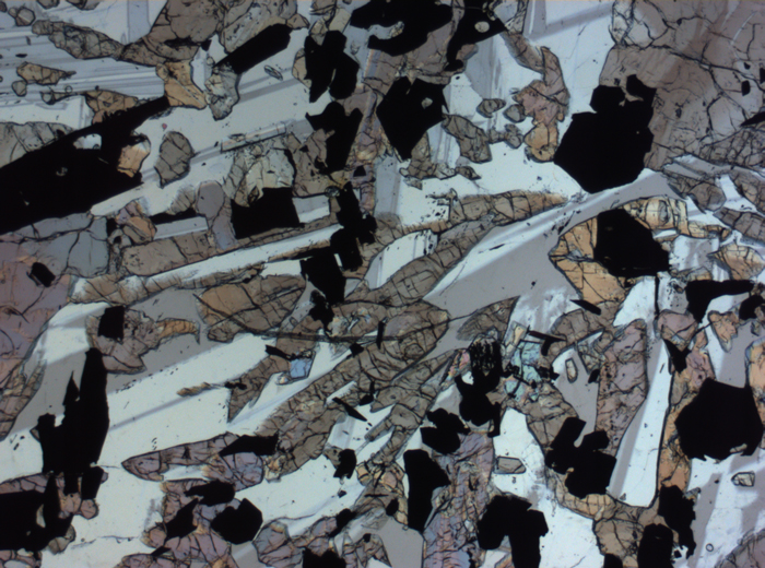 Thin Section Photograph of Apollo 17 Sample 70017,223 in Plane-Polarized Light at 2.5x Magnification and 2.85 mm Field of View (View #55)
