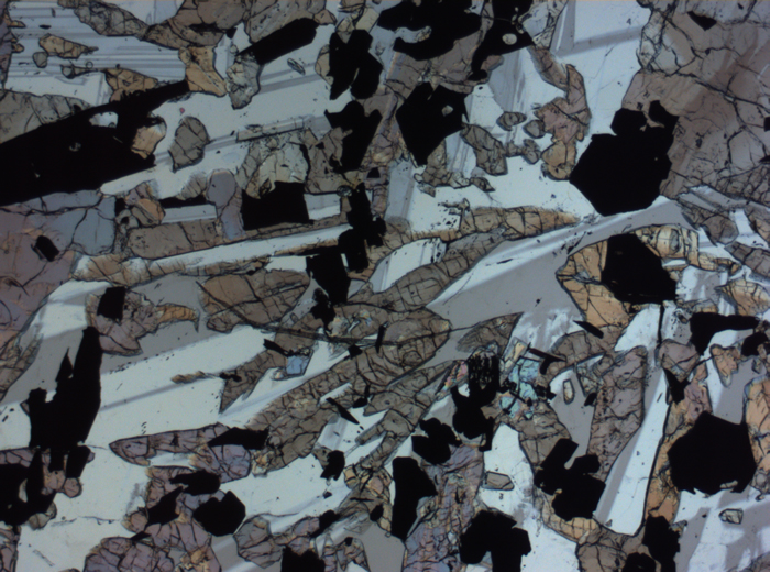 Thin Section Photograph of Apollo 17 Sample 70017,223 in Plane-Polarized Light at 2.5x Magnification and 2.85 mm Field of View (View #56)