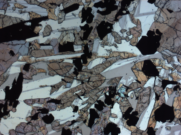 Thin Section Photograph of Apollo 17 Sample 70017,223 in Plane-Polarized Light at 2.5x Magnification and 2.85 mm Field of View (View #57)