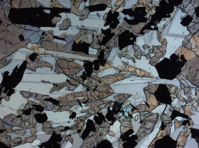 Thin Section Photograph of Apollo 17 Sample 70017,223 in Plane-Polarized Light at 2.5x Magnification and 2.85 mm Field of View (View #60)