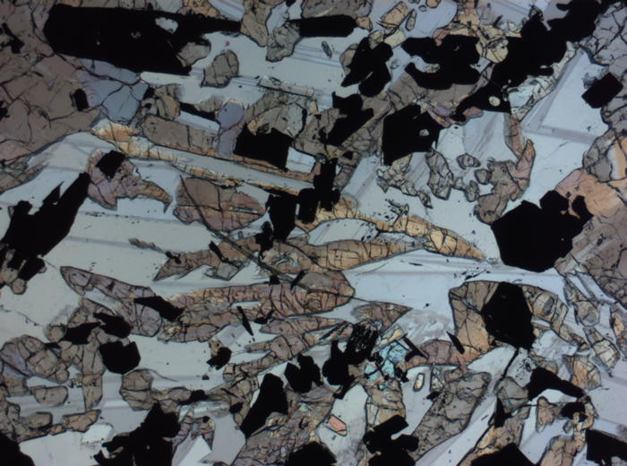 Thin Section Photograph of Apollo 17 Sample 70017,223 in Plane-Polarized Light at 2.5x Magnification and 2.85 mm Field of View (View #61)