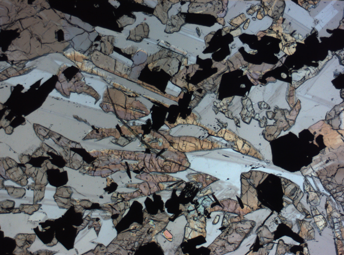 Thin Section Photograph of Apollo 17 Sample 70017,223 in Plane-Polarized Light at 2.5x Magnification and 2.85 mm Field of View (View #63)