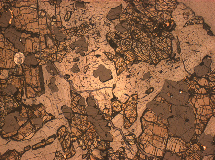 Thin Section Photograph of Apollo 17 Sample 70135,66 in Reflected Light at 2.5x Magnification and 2.85 mm Field of View (View #4)