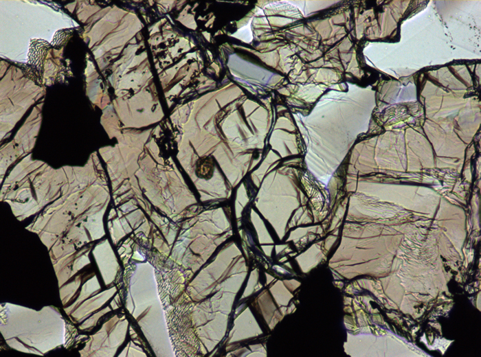 Thin Section Photograph of Apollo 17 Sample 70315,26 in Plane-Polarized Light at 10x Magnification and 1.15 mm Field of View (View #5)