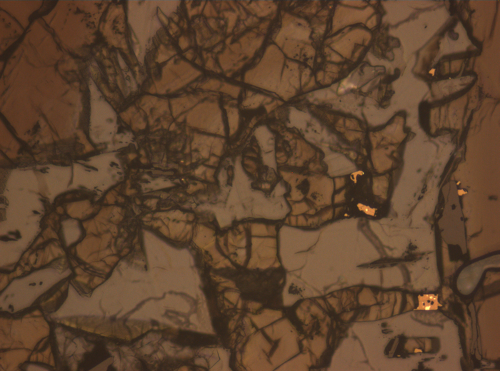 Thin Section Photograph of Apollo 17 Sample 71035,29 in Reflected Light at 10x Magnification and 1.15 mm Field of View (View #2)