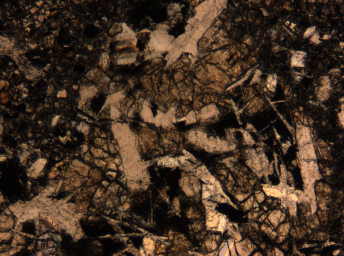 Thin Section Photograph of Apollo 17 Sample 72275,136 in Plane-Polarized Light at 5x Magnification and 1.4 mm Field of View (View #8)