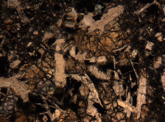 Thin Section Photograph of Apollo 17 Sample 72275,136 in Plane-Polarized Light at 5x Magnification and 1.4 mm Field of View (View #11)
