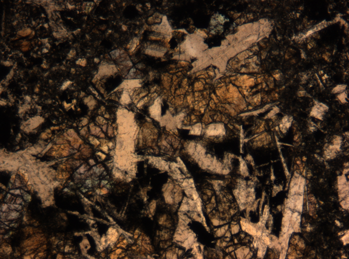 Thin Section Photograph of Apollo 17 Sample 72275,136 in Plane-Polarized Light at 5x Magnification and 1.4 mm Field of View (View #12)