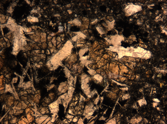 Thin Section Photograph of Apollo 17 Sample 72275,136 in Plane-Polarized Light at 5x Magnification and 1.4 mm Field of View (View #20)