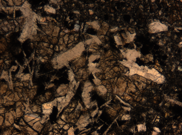 Thin Section Photograph of Apollo 17 Sample 72275,136 in Plane-Polarized Light at 5x Magnification and 1.4 mm Field of View (View #23)