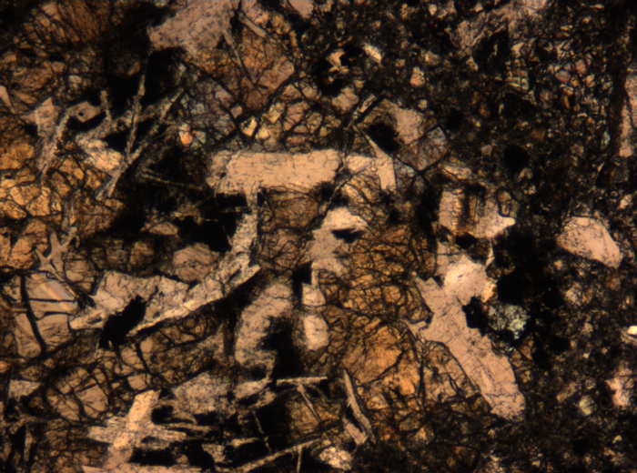 Thin Section Photograph of Apollo 17 Sample 72275,136 in Plane-Polarized Light at 5x Magnification and 1.4 mm Field of View (View #29)