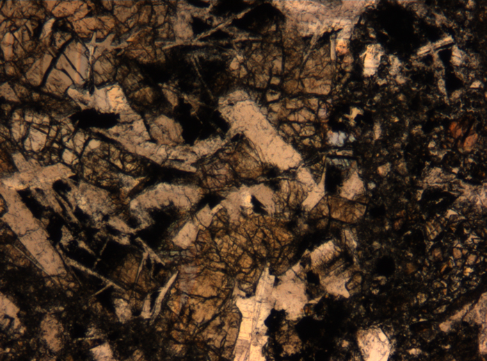 Thin Section Photograph of Apollo 17 Sample 72275,136 in Plane-Polarized Light at 5x Magnification and 1.4 mm Field of View (View #39)