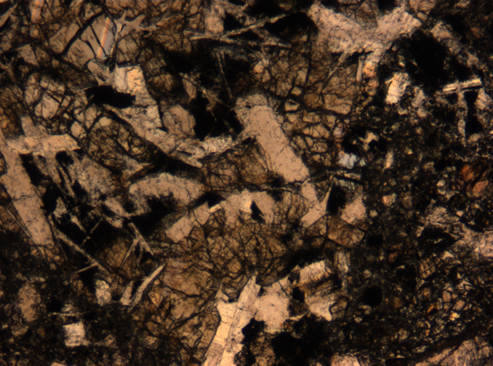 Thin Section Photograph of Apollo 17 Sample 72275,136 in Plane-Polarized Light at 5x Magnification and 1.4 mm Field of View (View #41)