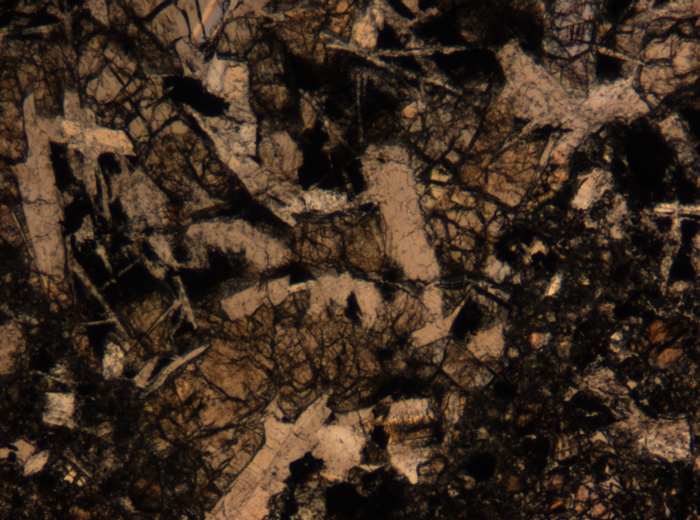 Thin Section Photograph of Apollo 17 Sample 72275,136 in Plane-Polarized Light at 5x Magnification and 1.4 mm Field of View (View #44)