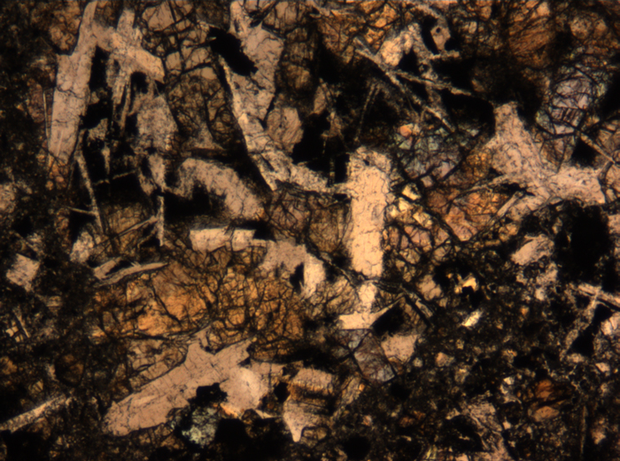 Thin Section Photograph of Apollo 17 Sample 72275,136 in Plane-Polarized Light at 5x Magnification and 1.4 mm Field of View (View #48)
