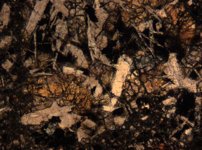Thin Section Photograph of Apollo 17 Sample 72275,136 in Plane-Polarized Light at 5x Magnification and 1.4 mm Field of View (View #51)